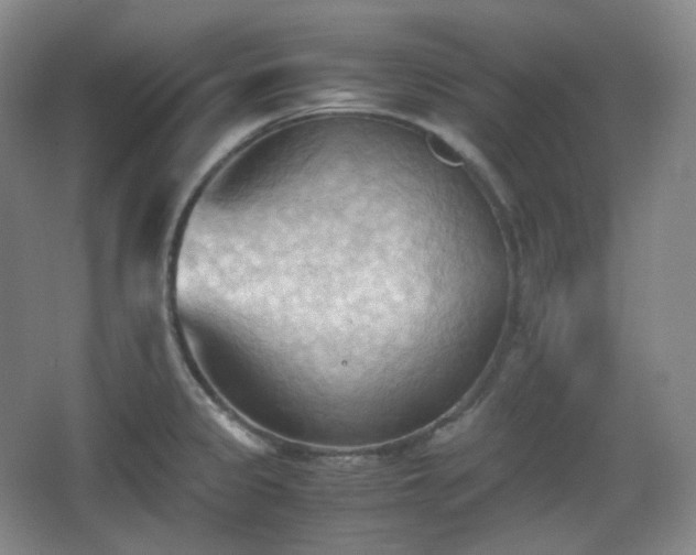 X0000067831333200604171117