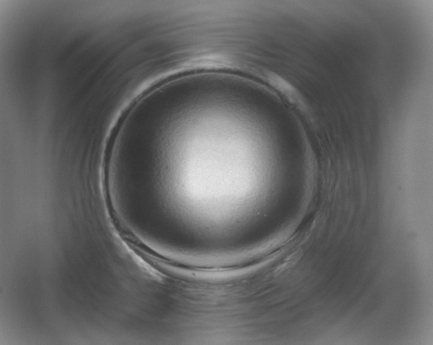 X0000067831334200604171117