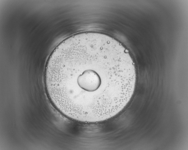 X0000067831338200604171117