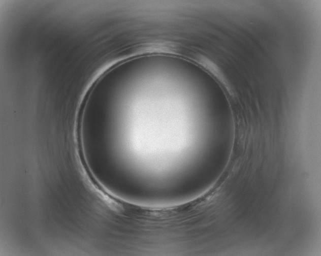 X0000067831339200604171117