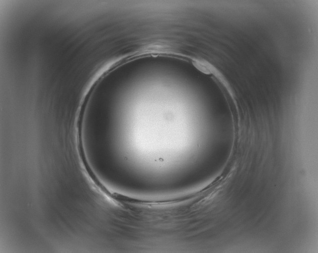 X0000067831341200604171117