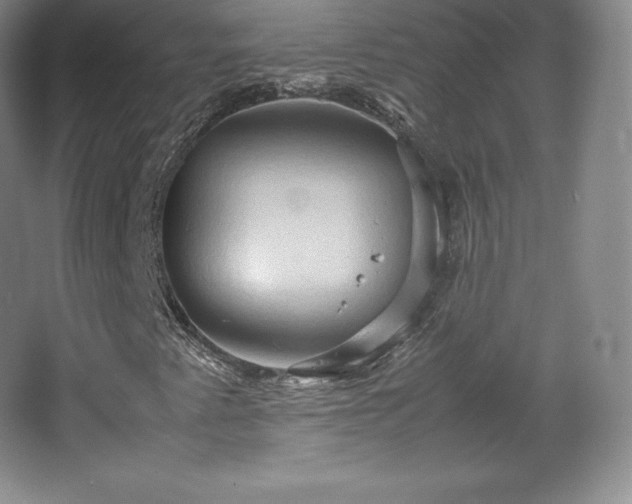 X0000067831345200604171116