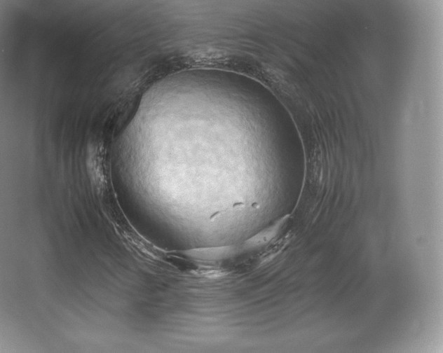 X0000067831346200604171116