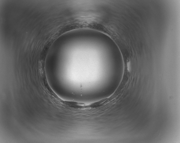 X0000067831347200604171116