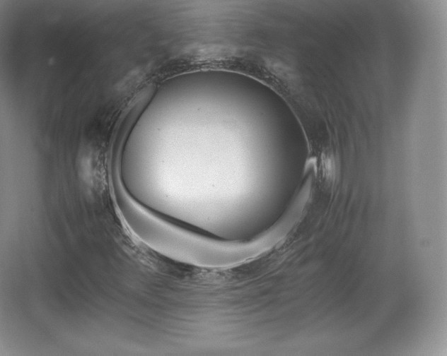 X0000067831348200604171116