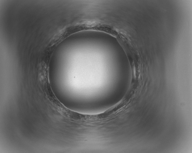 X0000067831349200604171116