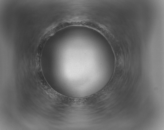 X0000067831350200604171116