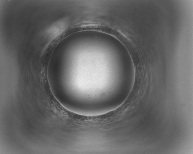 X0000067831351200604171116