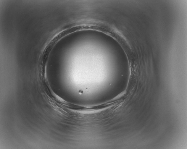 X0000067831352200604171116