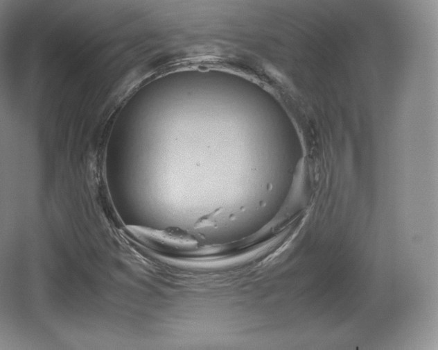 X0000067831353200604171116