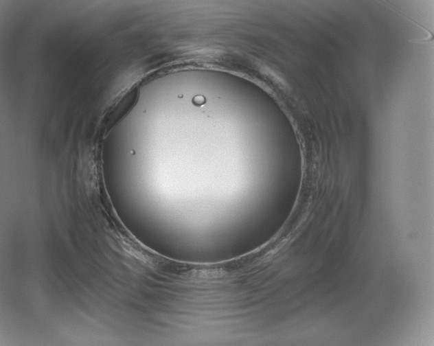 X0000067831354200604171116