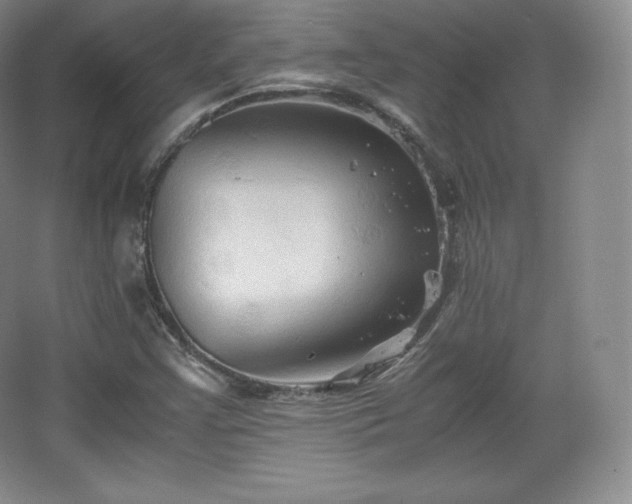 X0000067831355200604171116