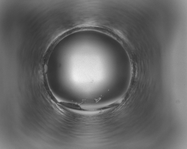 X0000067831356200604171116