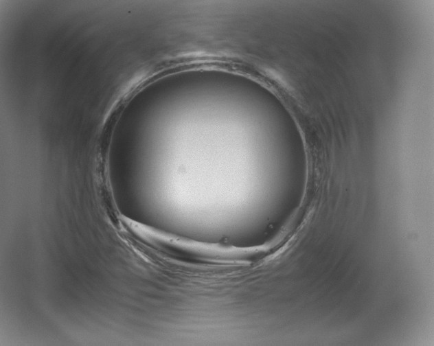 X0000067831357200604171116