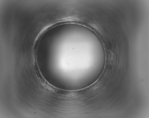 X0000067831358200604171116