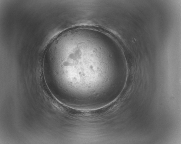 X0000067831359200604171116