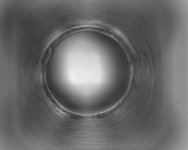 X0000067831360200604171116