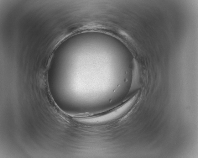 X0000067831361200604171116