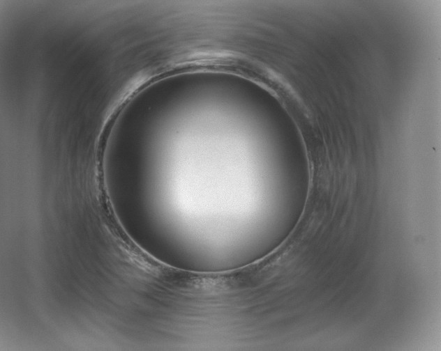 X0000067831362200604171116