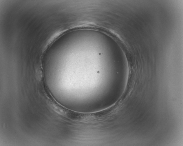 X0000067831363200604171116