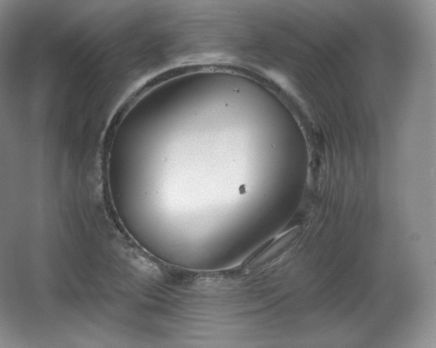 X0000067831364200604171116