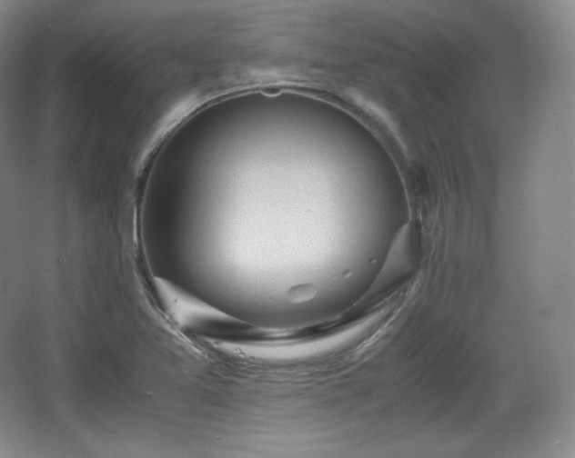 X0000067831365200604171116