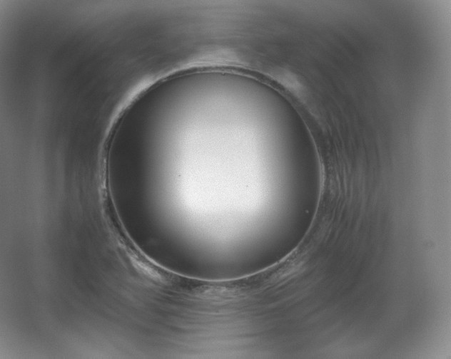 X0000067831366200604171116