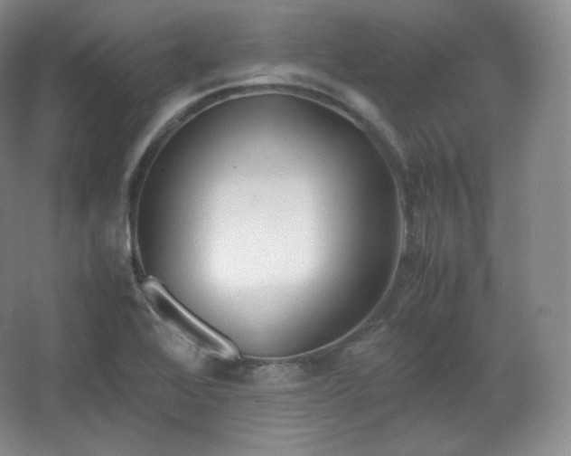 X0000067831368200604171116