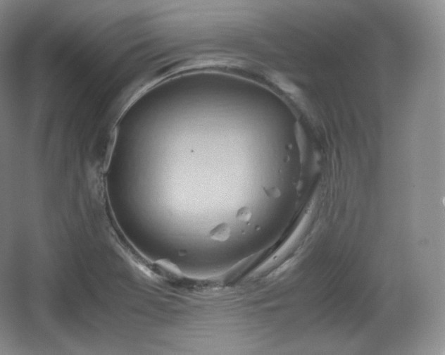 X0000067831369200604171116