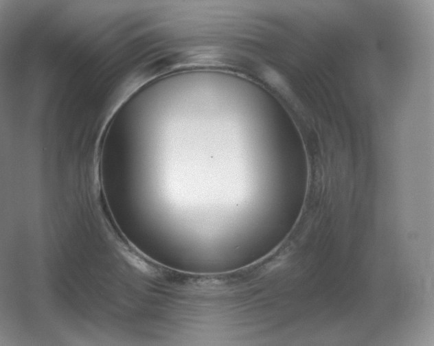 X0000067831370200604171116