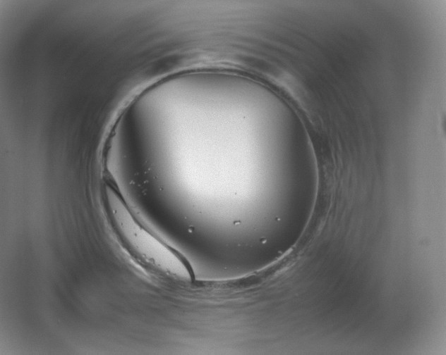 X0000067831371200604171116