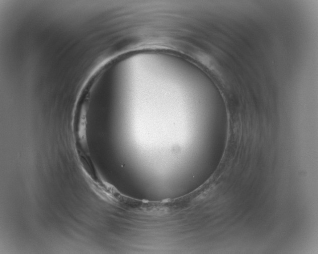 X0000067831372200604171116