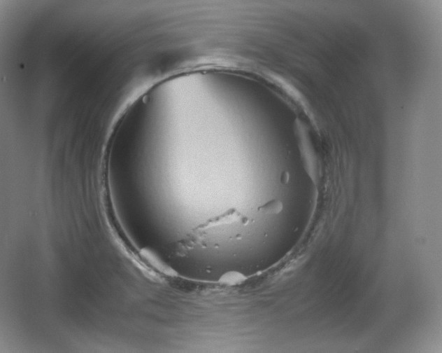 X0000067831373200604171116