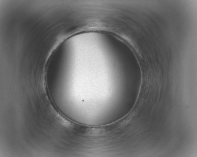 X0000067831374200604171116