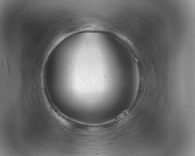 X0000067831375200604171116