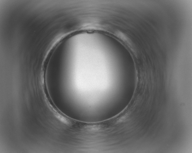 X0000067831376200604171116