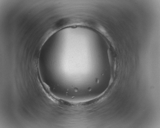 X0000067831377200604171116