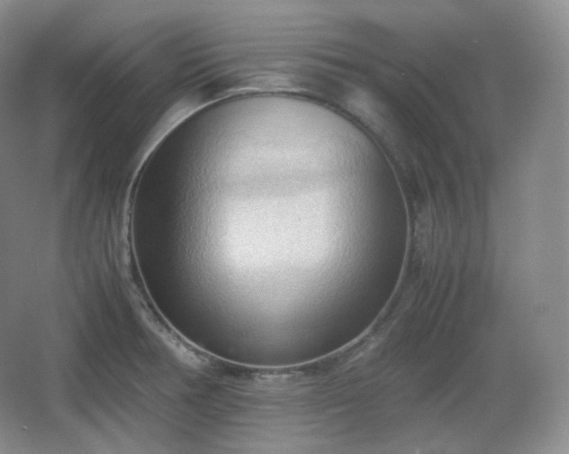 X0000067831378200604171116