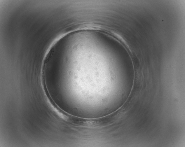 X0000067831379200604171116