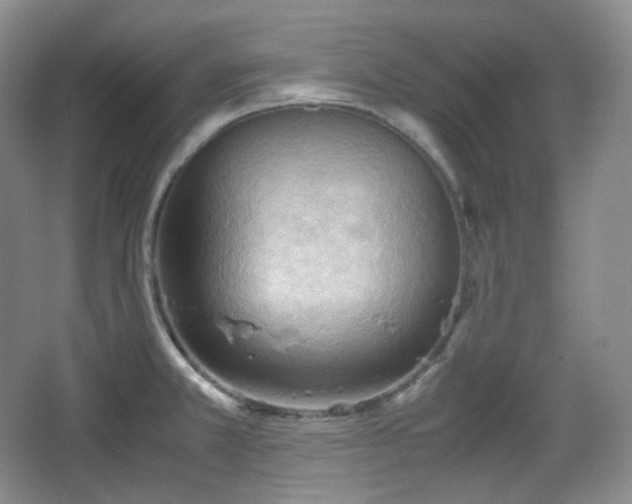 X0000067831381200604171116