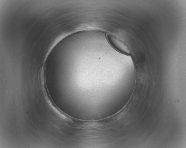 X0000067831382200604171116