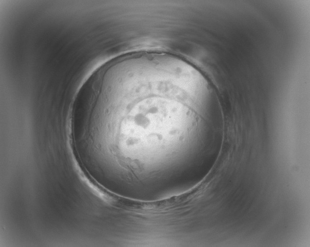 X0000067831383200604171116