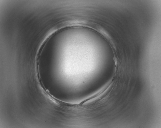 X0000067831384200604171116