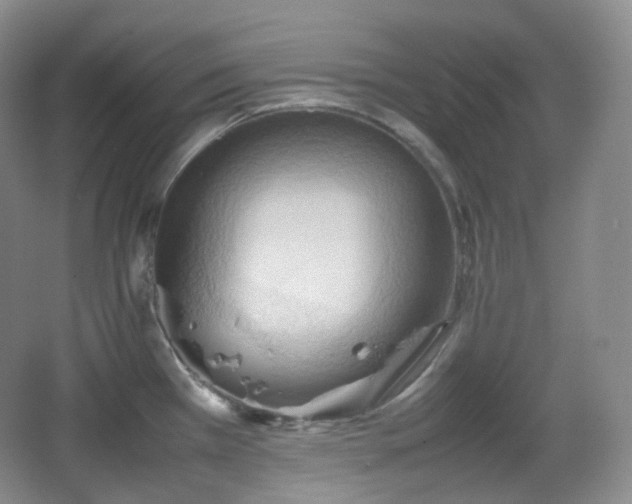 X0000067831385200604171116