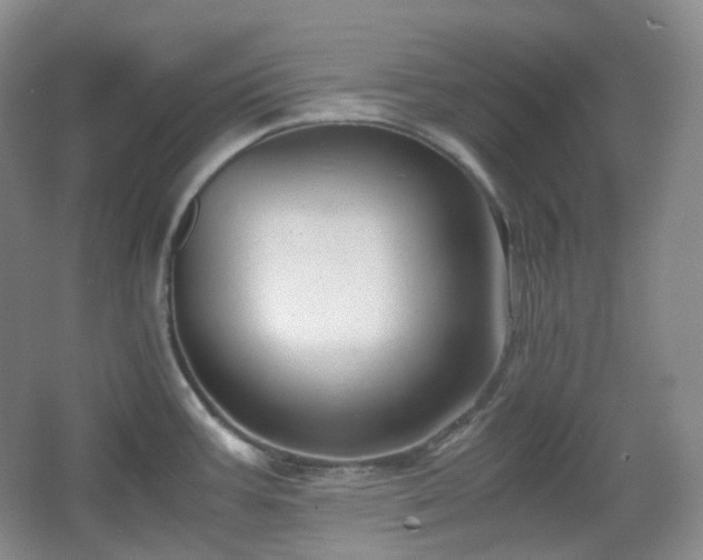 X0000067831387200604171116