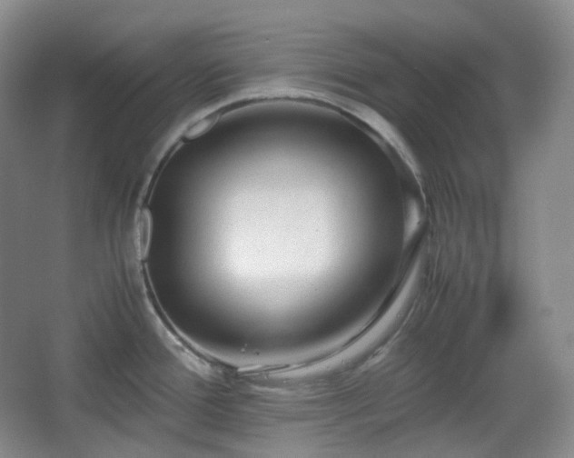 X0000067831388200604171115