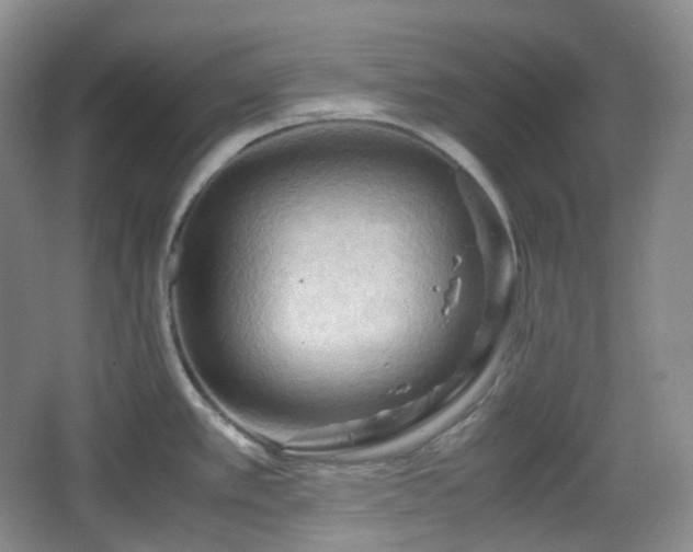 X0000067831389200604171115