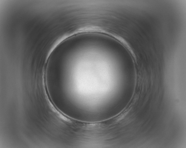 X0000067831390200604171115