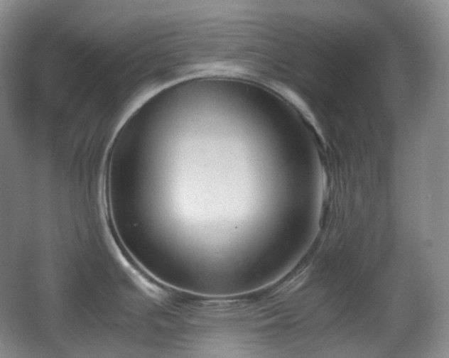 X0000067831391200604171115