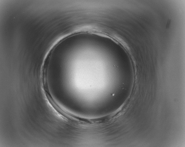 X0000067831392200604171115